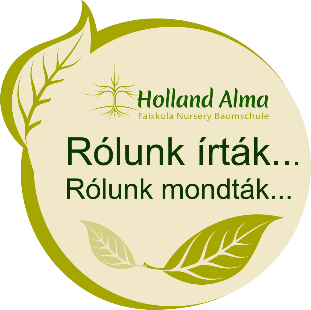 Rólunk írták, rólunk mondták